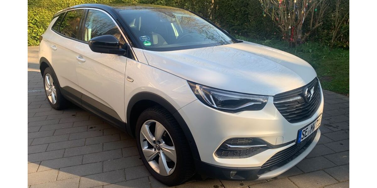 Opel Grandland (X) 111.800 km 11.590 &euro; Hamburg 22399