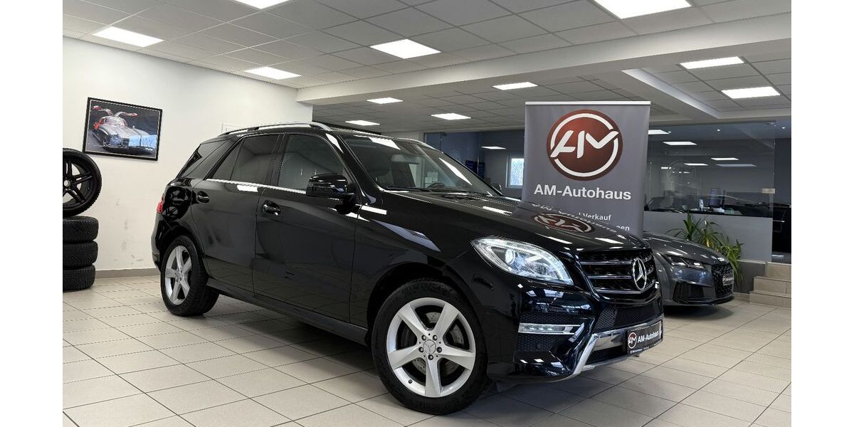Mercedes-Benz ML 350 216.000 km 19.499 &euro; Hamburg 21031