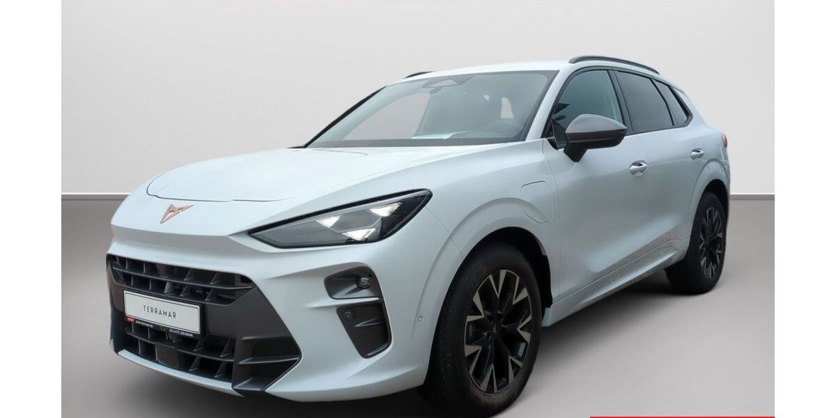 Cupra Terramar 11.500 km 42.885 &euro; Kaltenkirchen 24568