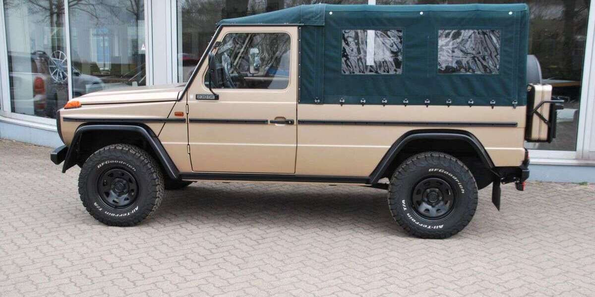 Mercedes-Benz G 230 112.202 km 75.000 &euro; Ahrensburg 22926