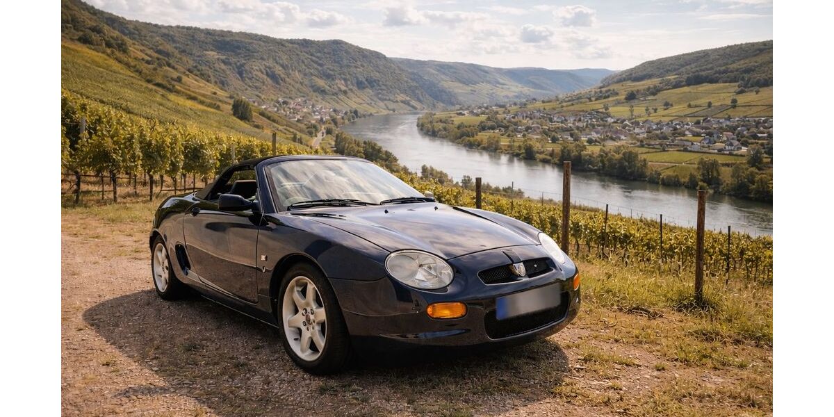 MG F 140.000 km 4.500 &euro; Hamburg 21077