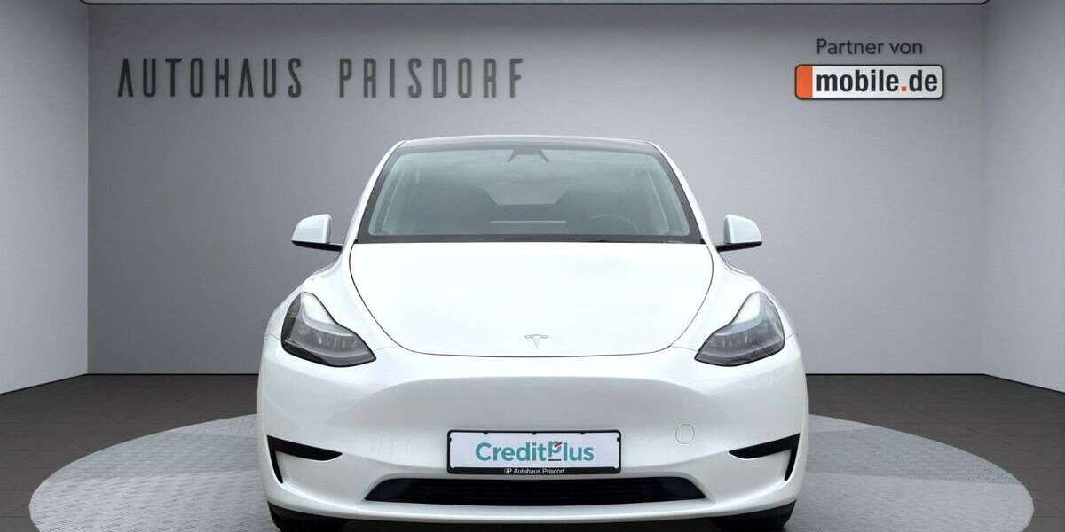 Tesla Model Y 84.689 km 29.750 &euro; Prisdorf bei Hamburg 25497