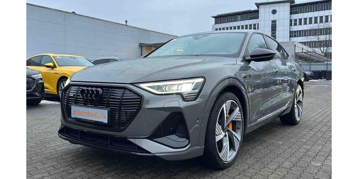Audi e-tron 59.725 km 31.950 &euro; Hamburg 22047