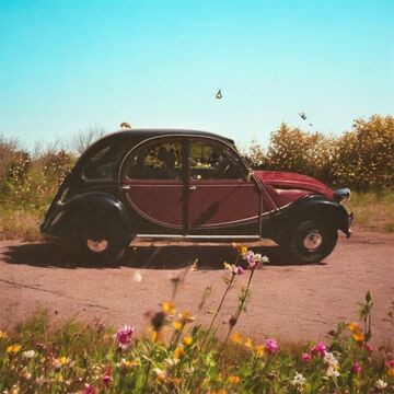 Gebrauchte Citroën 2 CV