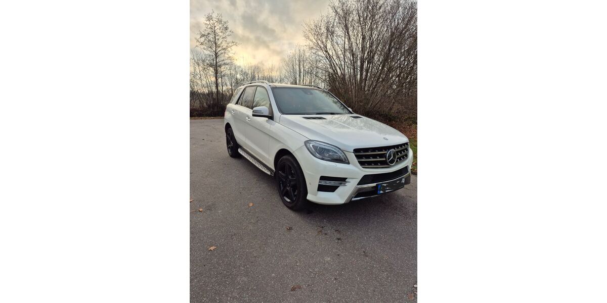 Mercedes-Benz ML 350 239.800 km 16.250 &euro; Prisdorf 25497