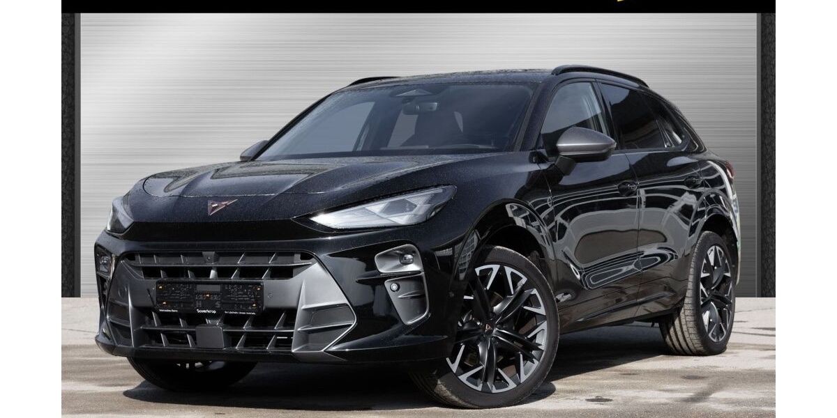 Cupra Terramar 8.792 km 39.380 &euro; Bad Oldesloe 23843