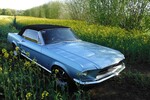 Ford Mustang 125.000 km 50.000 &euro; Hamburg 20038