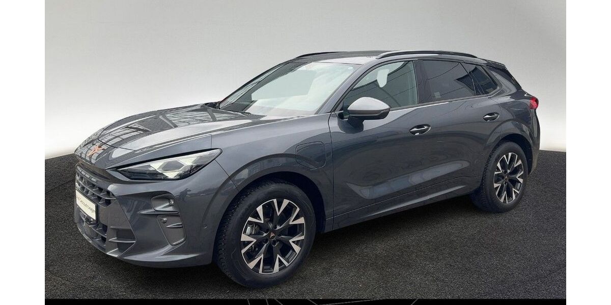 Cupra Terramar 23.849 km 38.380 &euro; Hamburg 22529