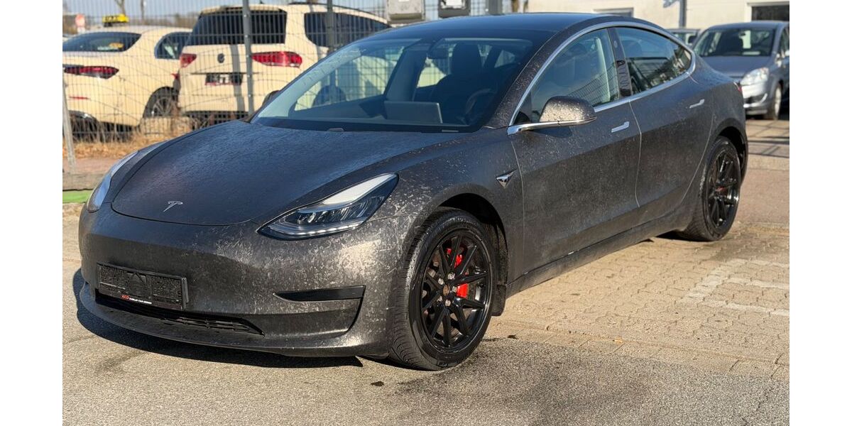 Tesla Model 3 164.000 km 15.400 &euro; Stapelfeld bei Hamburg 22145