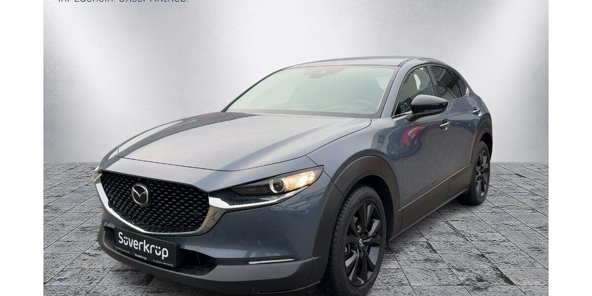 Mazda CX-30 10.500 km 27.490 &euro; Bad Oldesloe 23843